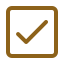 Check icon